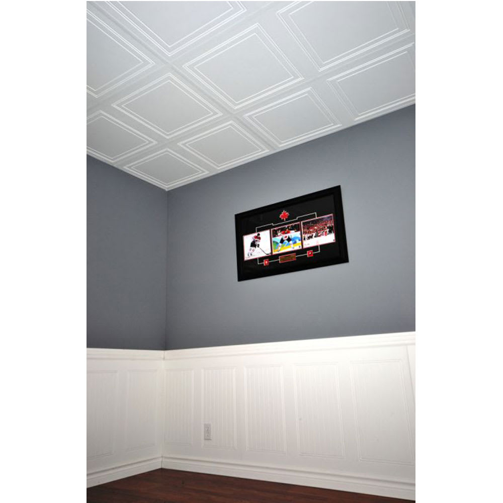 Polo Ceiling Tiles 2&nbsp;ft&nbsp;x&nbsp;4&nbsp;ft Pkg/4