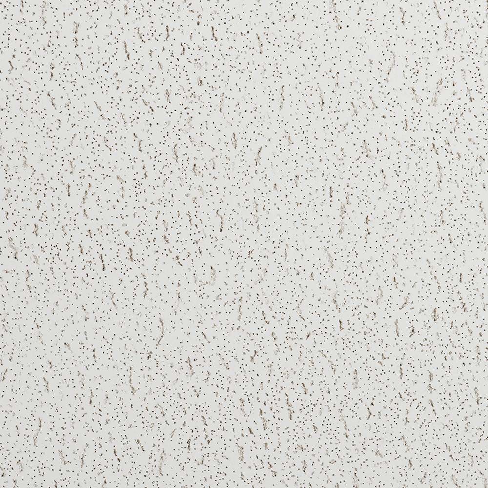 Tuiles pour plafond suspendu Fire Guard 2&nbsp;pi&nbsp;x&nbsp;4&nbsp;pi Pqt/6