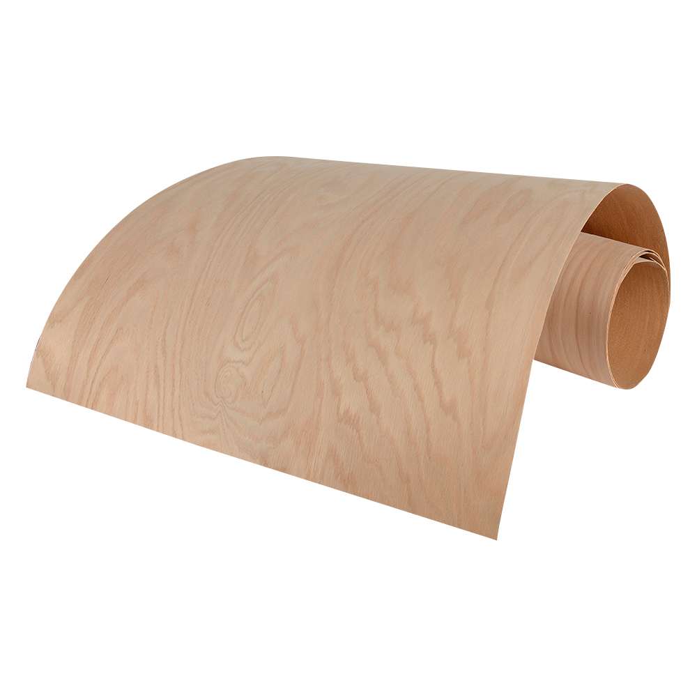 Placage de chêne rouge 2 pi x 8 pi