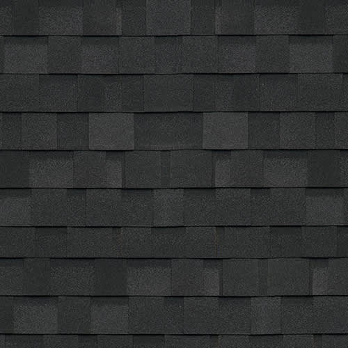 Bardeaux d'asphalte Dynasty noir granit