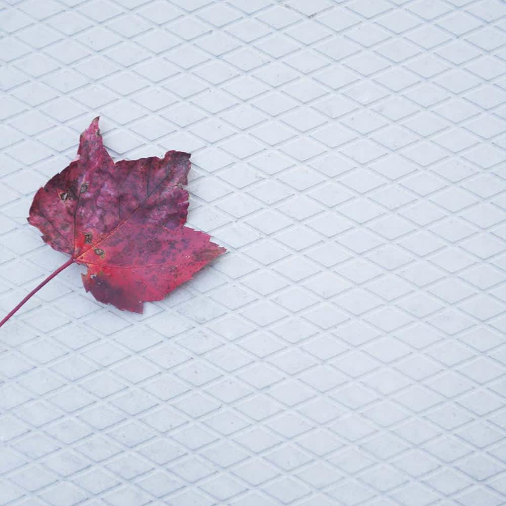 Dalle de patio Diamant 18 po x 18 po