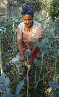women's livelihood