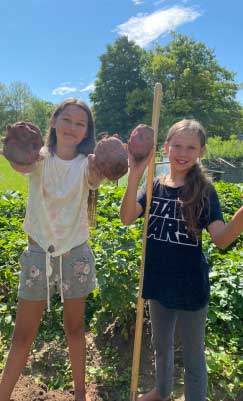 food forests