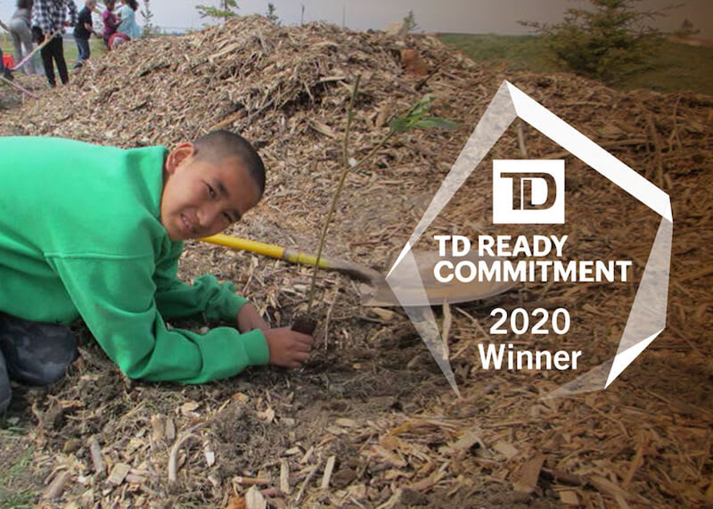 Boy plants a plant in the food forest