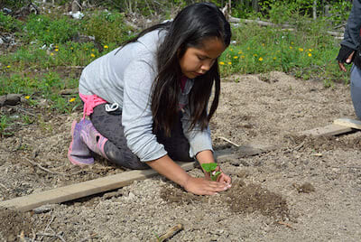 Indigenous girl planting in a community garden