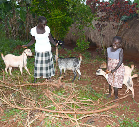 Abiriya and her mom outside with their goats