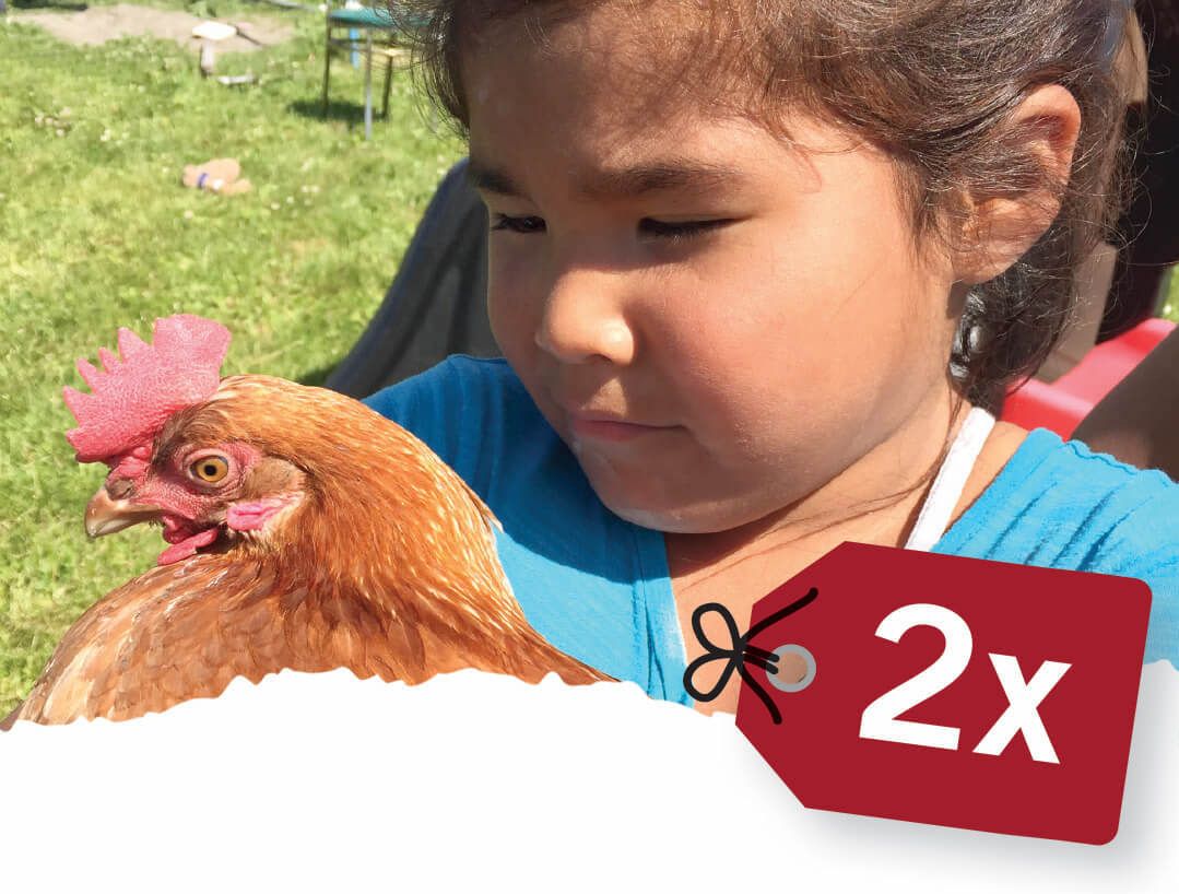 When you buy a charity chicken it benefits real people. Image shows First Nations girl holding a chicken.