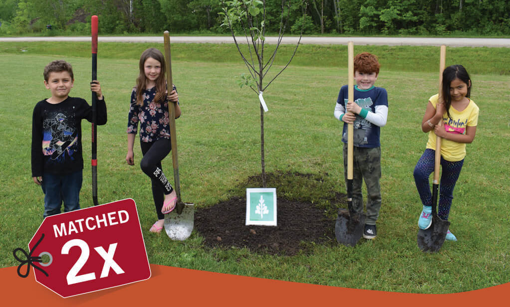 Charity Gifts Canada include gifts that support our programming in Canada and internationally. Image shows First Nations children planting a fruit tree.