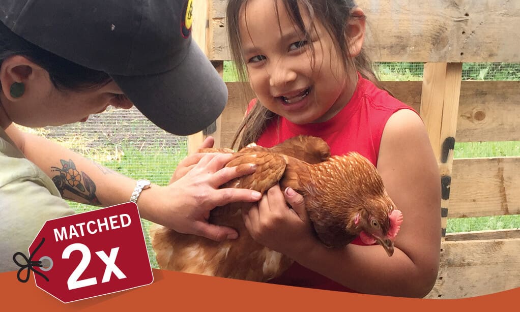 When you buy a charity chicken it benefits real people. Image shows First Nations girl holding a chicken.