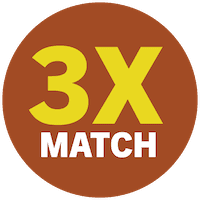 3X Match Donation icon