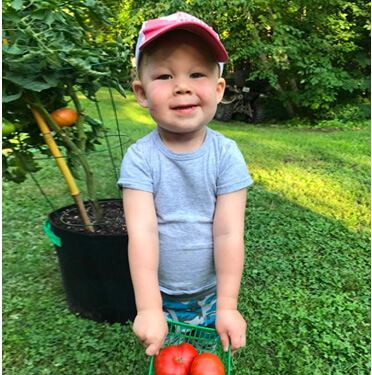 Little boy holds a small basket of tomatoes