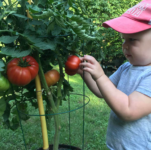 Canadian First Nations child enjoys a healthy meal