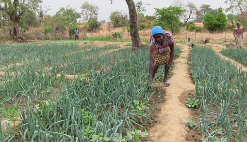 Update on Ghana - Canadian Feed The Children