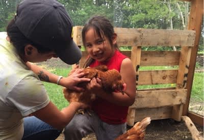 buy charity chickens - First Nations girl holds a chicken