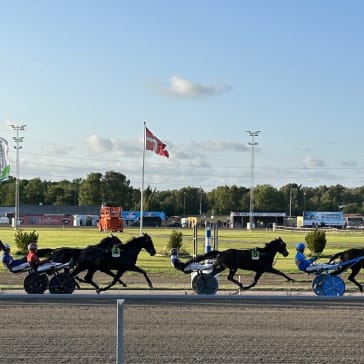 För att nå fler män med viktig hälsoinformation närvarar Cancerfonden vid ett antal olika travbanor under sommaren 2025.