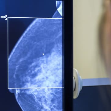 Foto: Pressbild