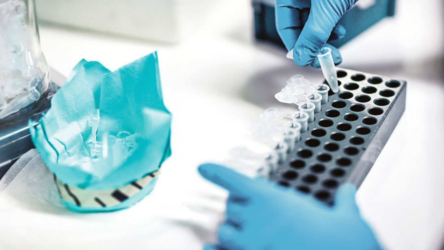 prostatacancer hormonbehandling prognos prostatacancer hormonbehandling prognos