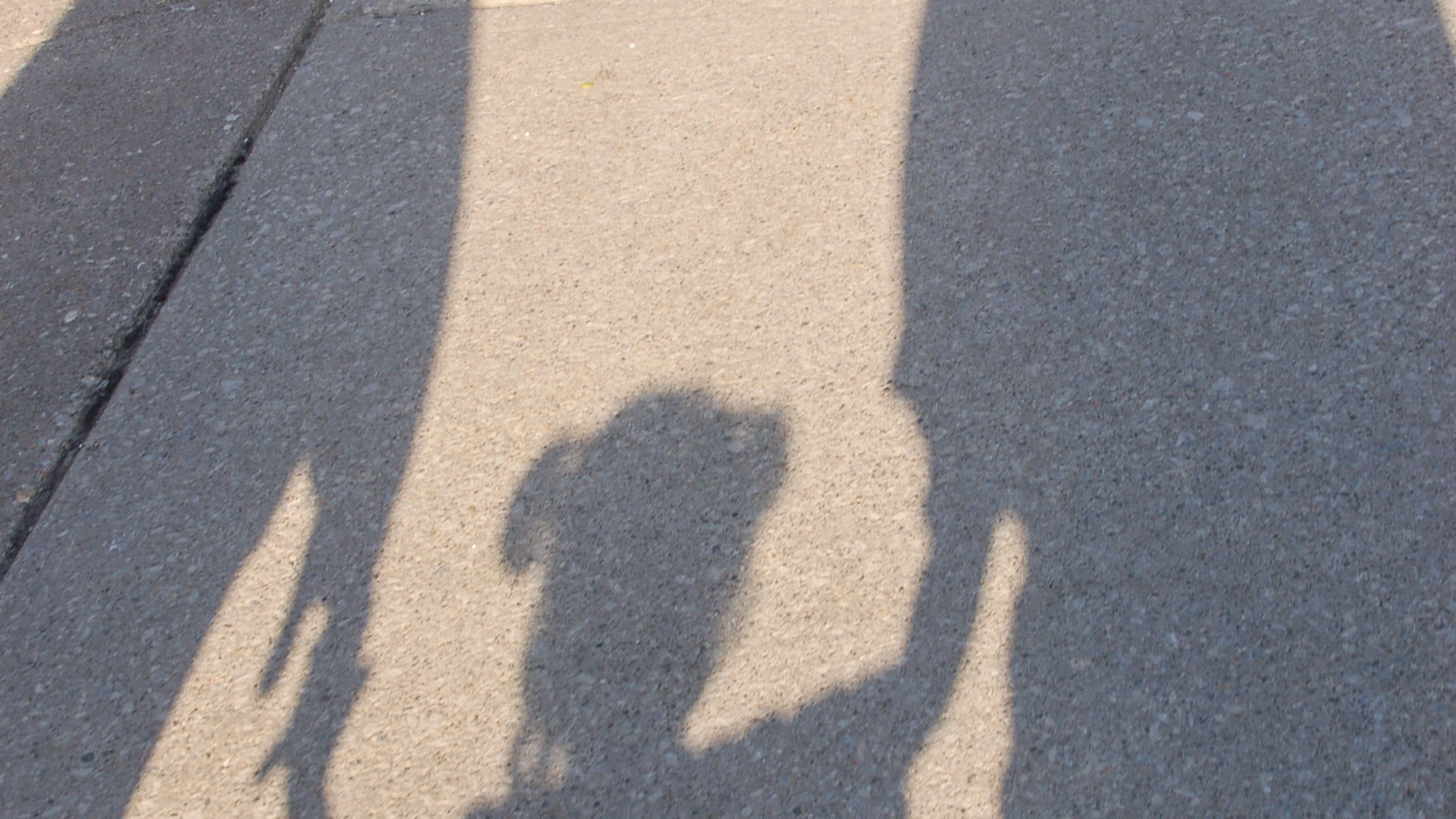 Skuggor av mamma, barn och pappa