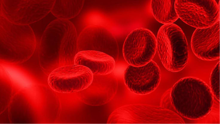Blodceller i blodomloppet