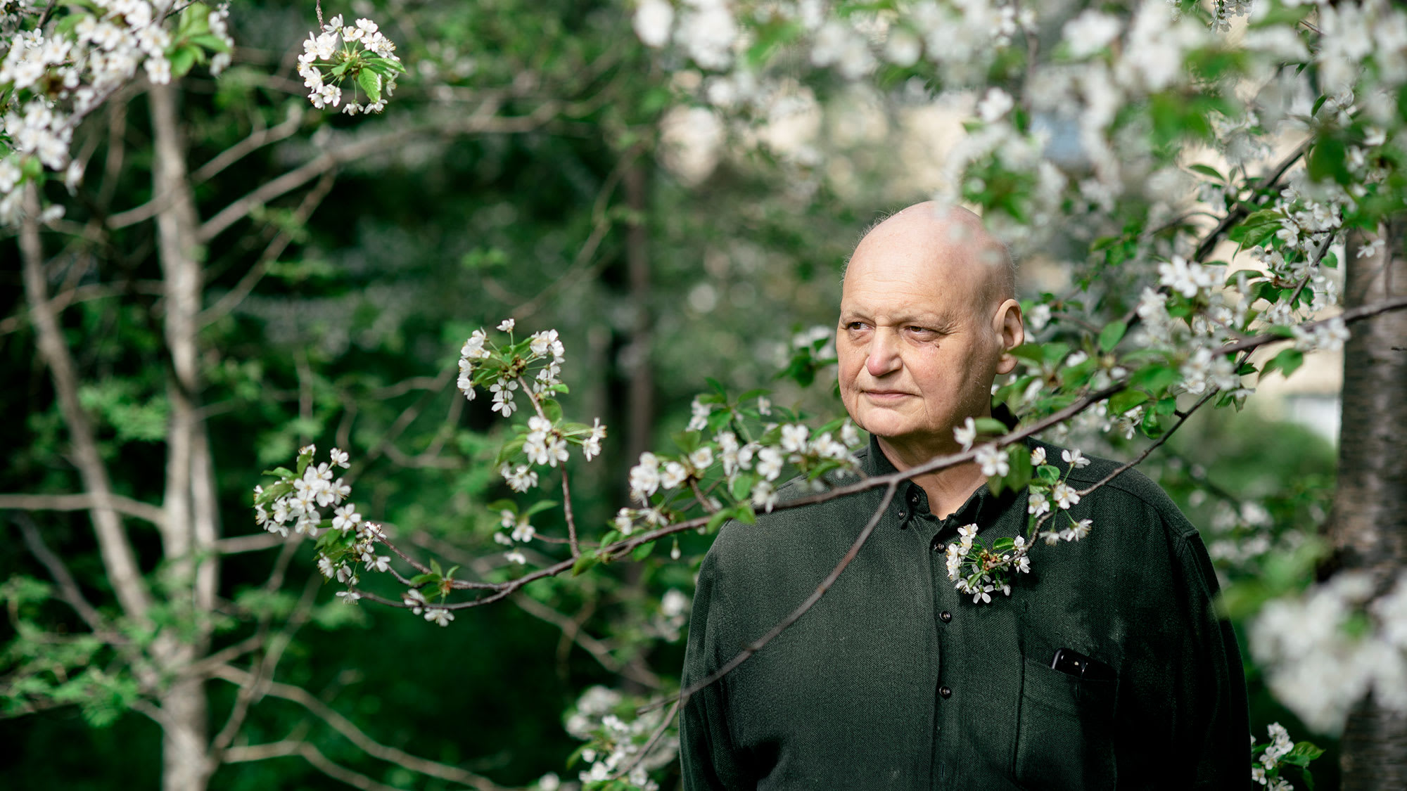 Göran Gredier står brediv ett körsbärsträd