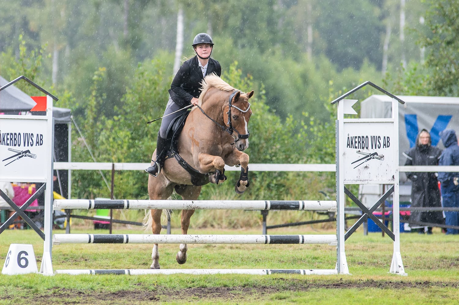 En ryttare som klippt mönstret av ett band på hästens bog.