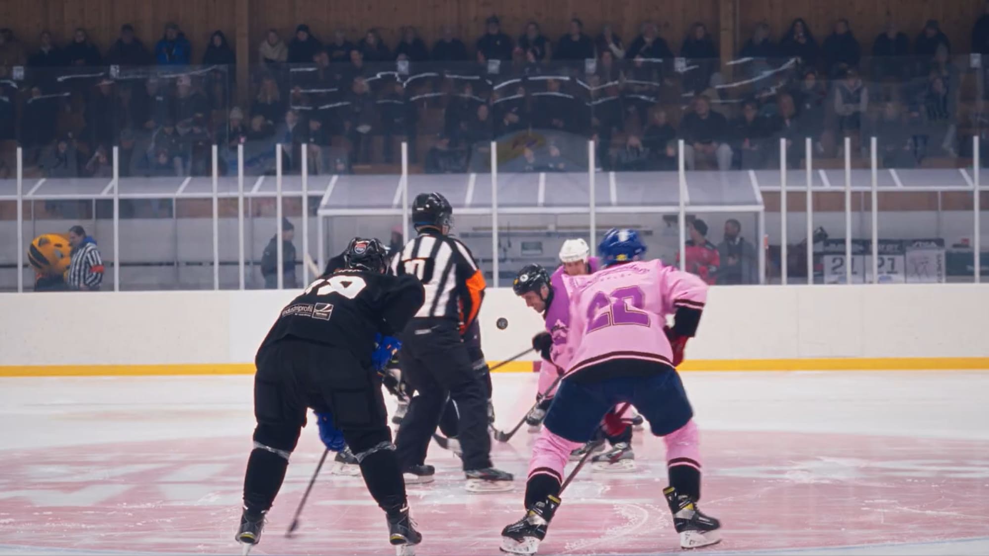 Pucken släpps på isen. 