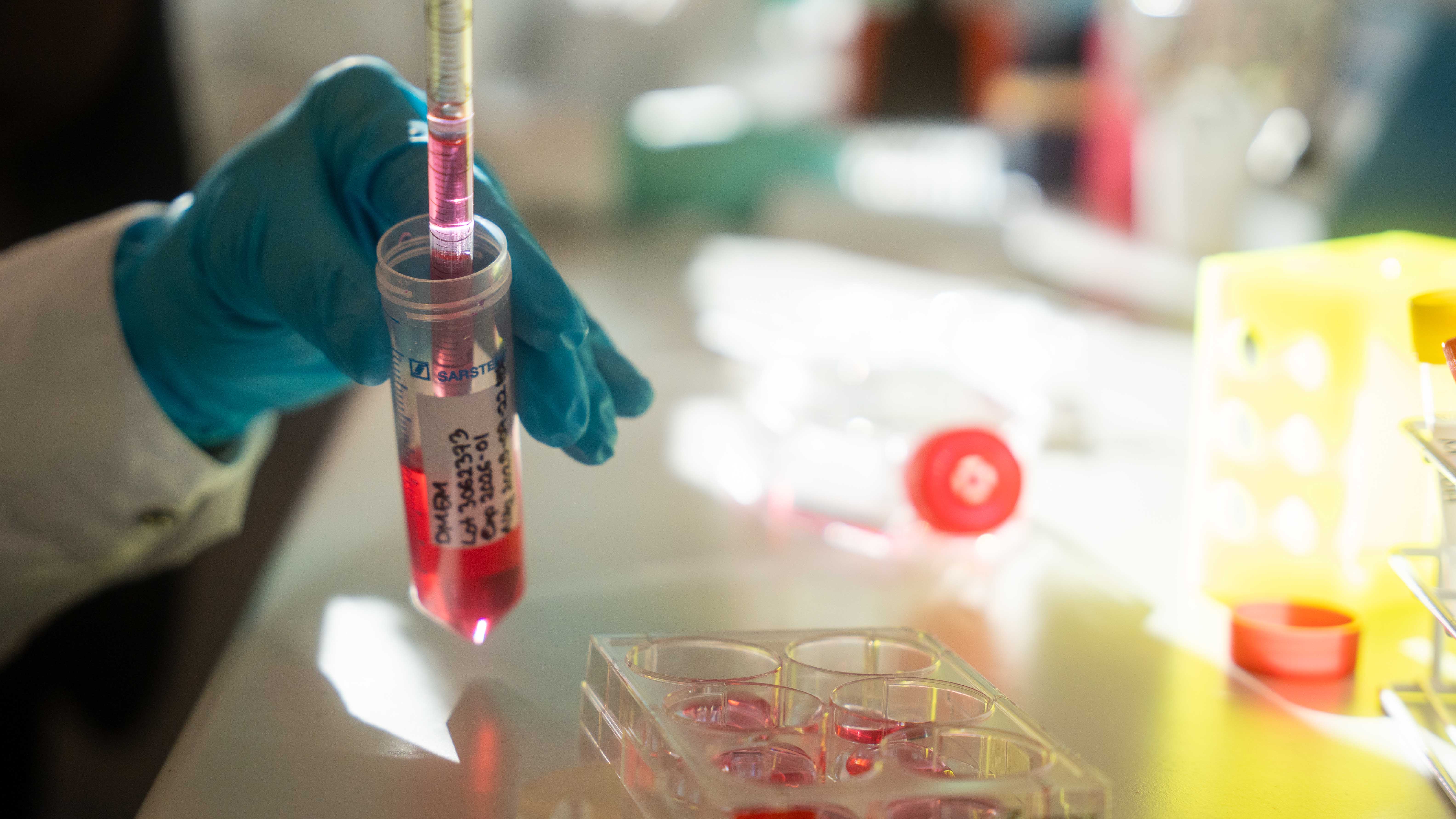 provrör på laboratorium