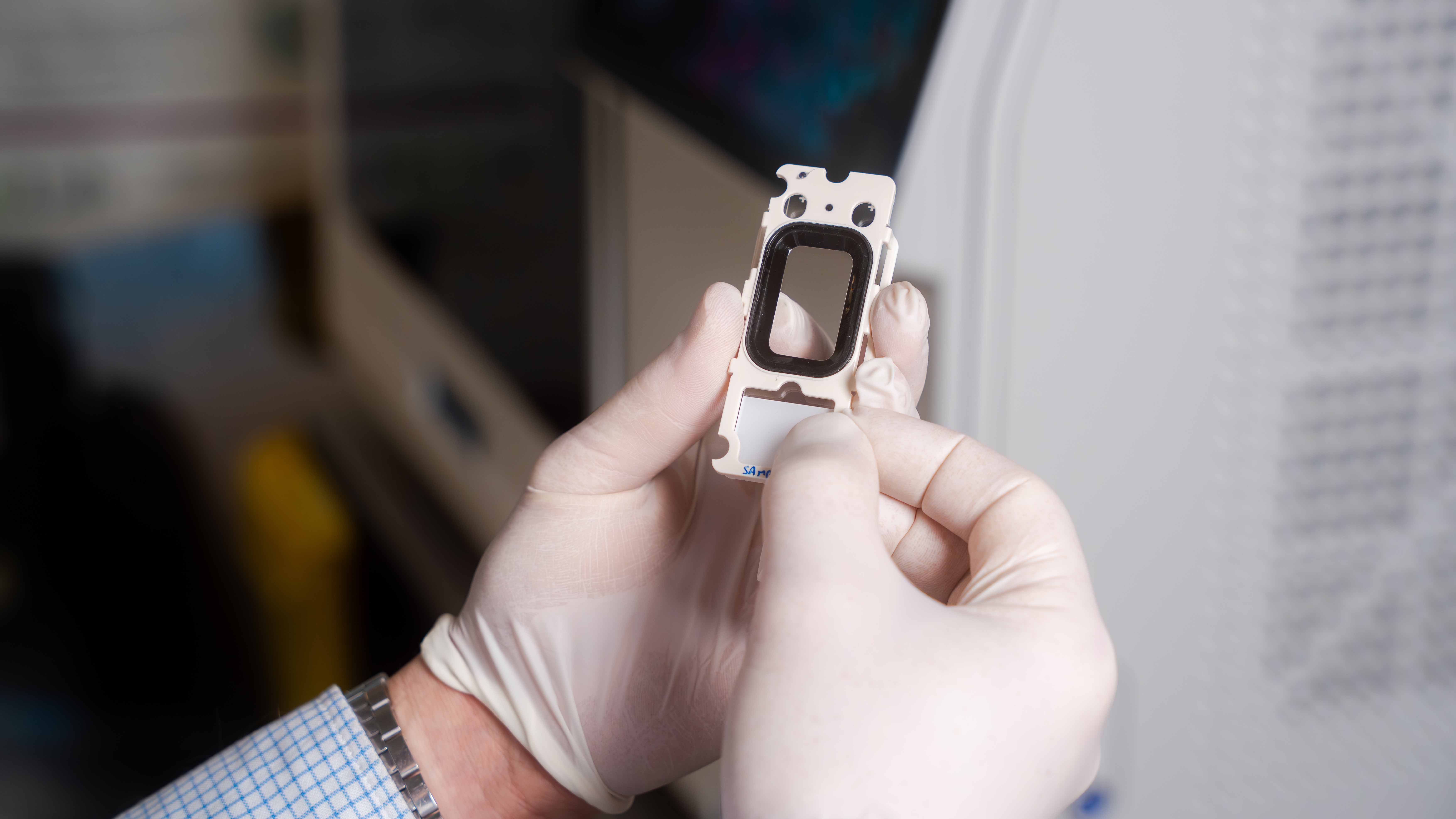 närbild mikroskopplatta