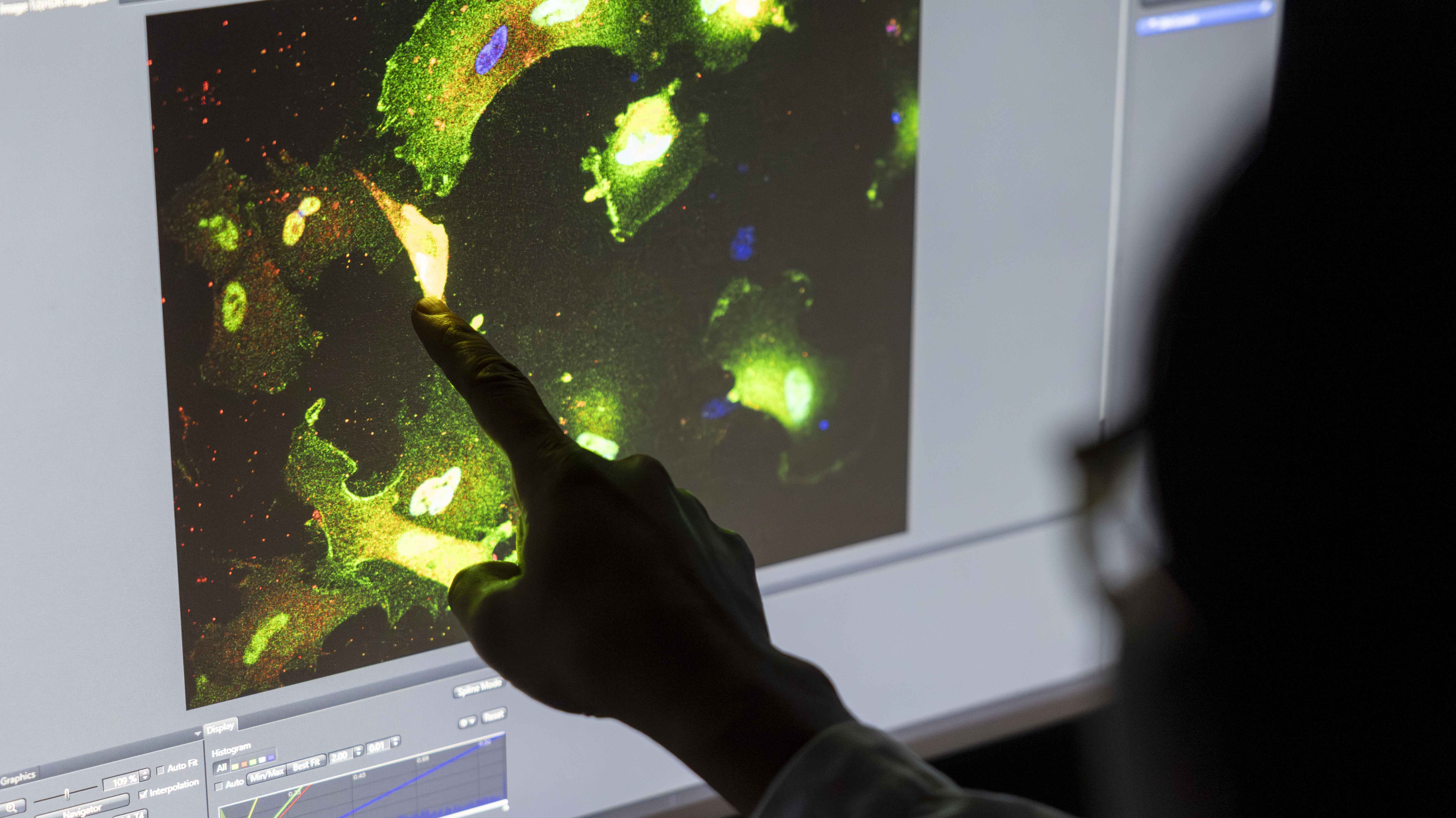 datorskärm med bild av molekyler