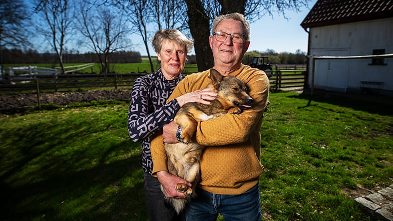 Man kvinna hund gård