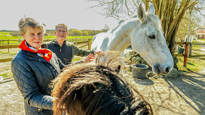 Kvinna, man och två hästar utomhus i Skåne