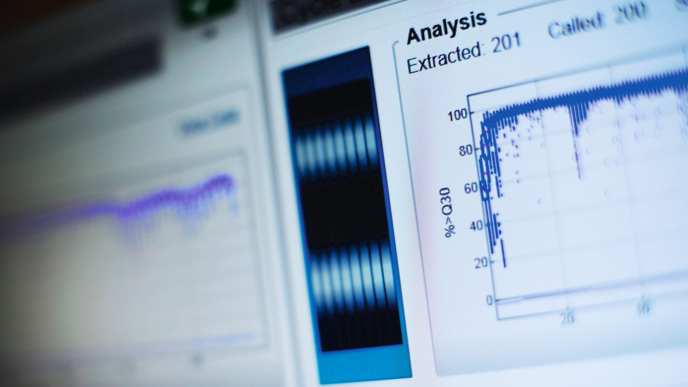 Foto: Melker Dahlstrand.