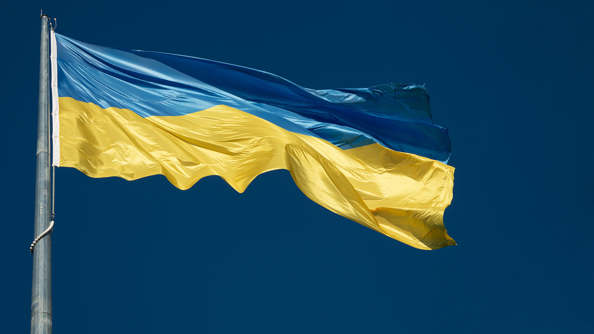 Ukrainas flagga