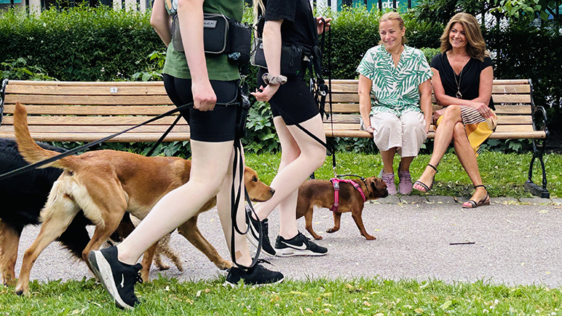 Ett hunddagis går förbi två kvinnor som sitter på bänk i en park.