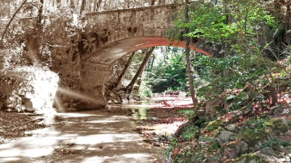 Parajes y rutas: Puente gorga vila