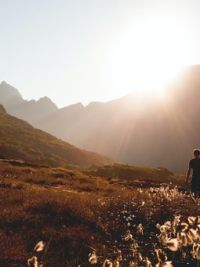 Man walking in nature towards the sun