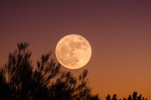 Moon at night