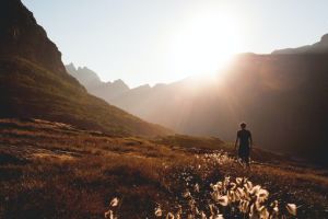 Man walking in nature towards the sun