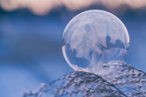 Ice bubble on leaf