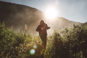 CBD Benefits | C A N N A R A Y