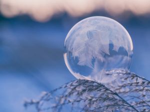 Ice bubble on leaf