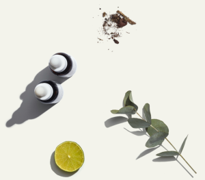 CBD tinctures with common ingredients