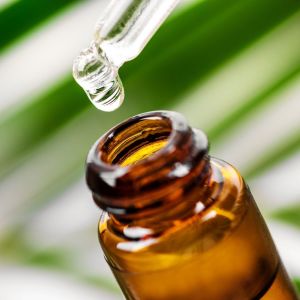 CBD Oil 