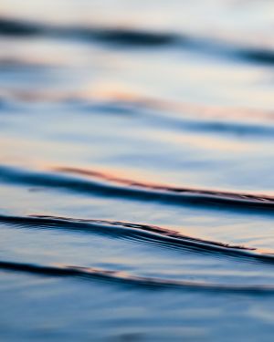 Calm water on beach 