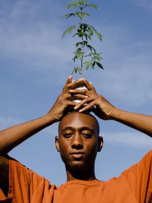 Man holding cannabis plant