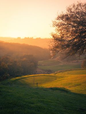Golf course sunset