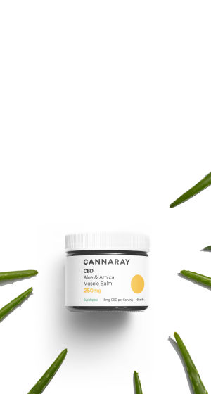 Aloe & Arnica CBD Muscle Balm