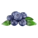 Natural Blueberry Flavouring