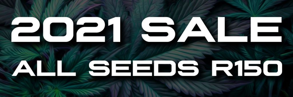 2021 sale
