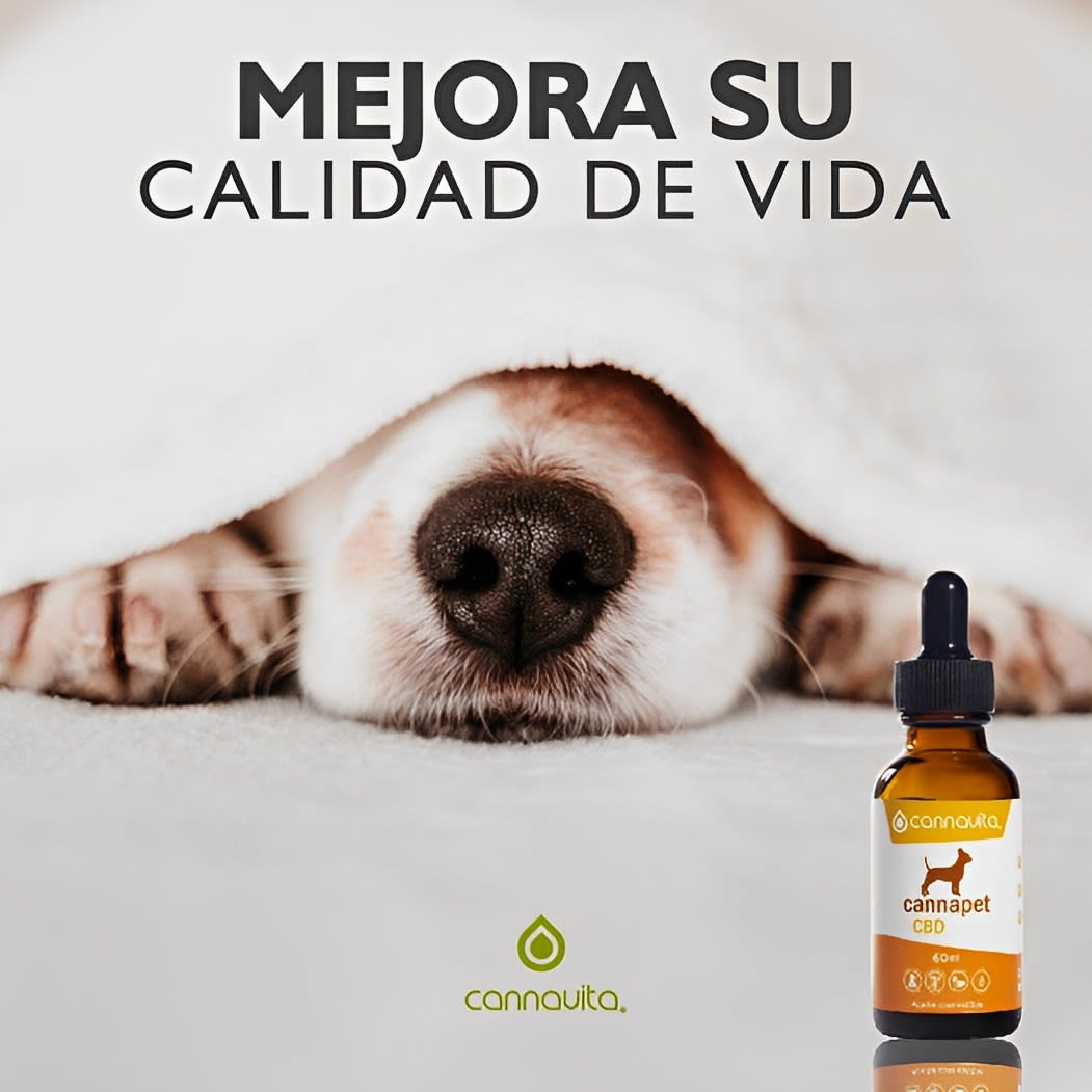 Cannapet CBD 500 Dolor Perros y Gatos